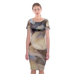 Close Up Mushroom Abstract Classic Short Sleeve Midi Dress by Fractalsandkaleidoscopes