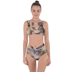 Close Up Mushroom Abstract Bandaged Up Bikini Set 