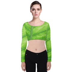 Green Bright Digital Manipulation Velvet Long Sleeve Crop Top by Vaneshart