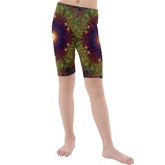 Art Abstract Fractal Pattern Kids  Mid Length Swim Shorts by Wegoenart