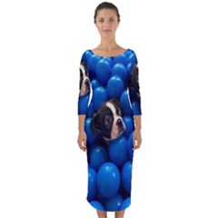 Cute Balls Puppy Quarter Sleeve Midi Bodycon Dress by Sparkle