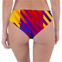 Gay Pride Rainbow Diagonal Striped Checkered Squares Reversible Classic Bikini Bottoms View4