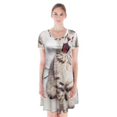 Laughing Kitten Short Sleeve V-neck Flare Dress by Sparkle