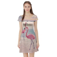 Flamingos Beach Short Sleeve Skater Dress by Sparkle