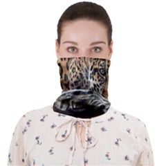 Nature With Tiger Face Covering Bandana (adult) by Sparkle