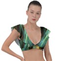 Abstract Illusion Plunge Frill Sleeve Bikini Top View1