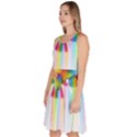 Rainbow Bird Knee Length Skater Dress With Pockets View2