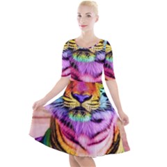 Rainbowtiger Quarter Sleeve A-line Dress by Sparkle