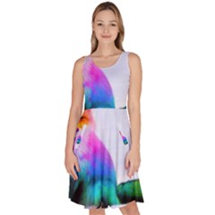 Rainbowfox Knee Length Skater Dress With Pockets by Sparkle