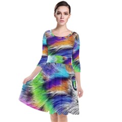 Rainbowcat Quarter Sleeve Waist Band Dress by Sparkle