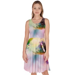 Rainbowdog Knee Length Skater Dress With Pockets by Sparkle