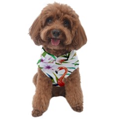 Tropical Flamingo Dog Sweater by goljakoff