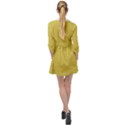 Ceylon Yellow & White - Mini Skater Shirt Dress View2