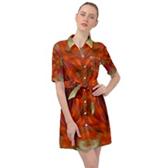 Landscape In A Colorful Structural Habitat Ornate Belted Shirt Dress by pepitasart