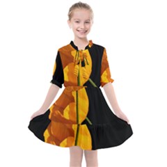 Yellow Poppies Kids  All Frills Chiffon Dress by Audy