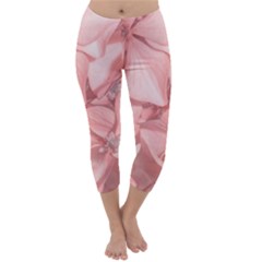 Coral Colored Hortensias Floral Photo Capri Winter Leggings  by dflcprintsclothing