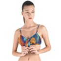 Koi Fish Tie Up Cut Bikini Top View1