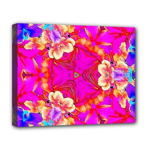 Newdesign Deluxe Canvas 20  X 16  (stretched) by LW41021