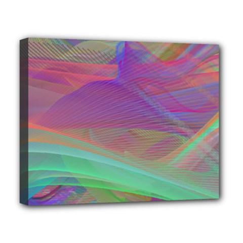 Color Winds Deluxe Canvas 20  X 16  (stretched) by LW41021