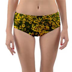 Daisy May Reversible Mid-waist Bikini Bottoms by LW323