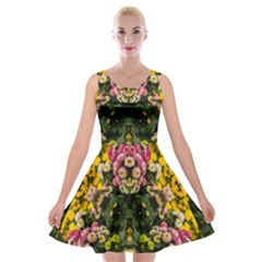 Springflowers Velvet Skater Dress by LW323