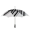 C270085b012480854de2b06333c4aa62 Jpg Cf Straight Umbrellas View3