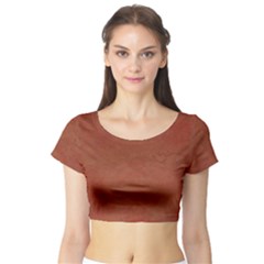 Toffee Short Sleeve Crop Top by kiernankallan