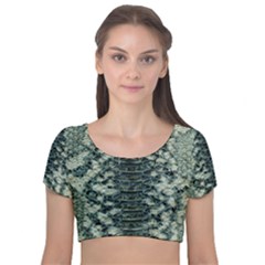 Snake Skin-29 Alt Velvet Short Sleeve Crop Top  by skindeep