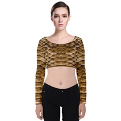 Reptile Skin Pattern 11 Velvet Long Sleeve Crop Top by skindeep