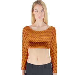 Leatherette 5 Brown Long Sleeve Crop Top by skindeep