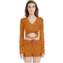 Leatherette 5 Brown Velvet Wrap Crop Top and Shorts Set View1