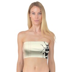 Banded Alder Borer  Bandeau Top by Limerence