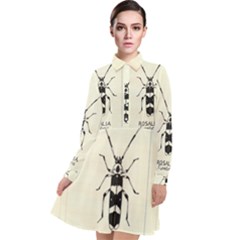 Banded Alder Borer  Long Sleeve Chiffon Shirt Dress by Limerence