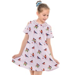 Bullfinches Sit On Branches Kids  Short Sleeve Shirt Dress by SychEva