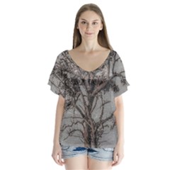 Big Tree Photo Illustration V-neck Flutter Sleeve Top by dflcprintsclothing