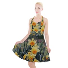 Sunny Day Halter Party Swing Dress  by thedaffodilstore