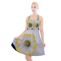 Lemon Sorbet Halter Party Swing Dress  by thedaffodilstore