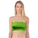 Banana Leaf Bandeau Top View1