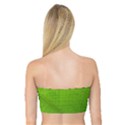 Banana Leaf Bandeau Top View2