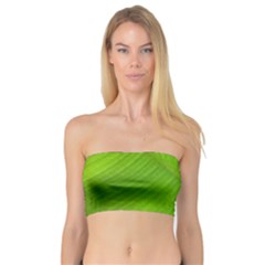 Banana Leaf Bandeau Top by artworkshop