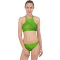 Banana Leaf Racer Front Bikini Set View1