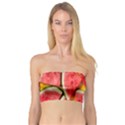 Watermelon Bandeau Top View1