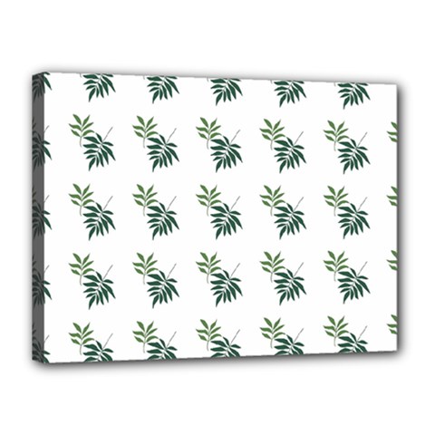 Tropical Canvas 16  X 12  (stretched) by Sparkle