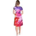 Colorful Painting Classic Short Sleeve Dress View4