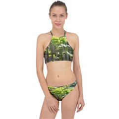 Bitter Melon Racer Front Bikini Set by artworkshop