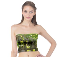 Bitter Melon Tube Top by artworkshop