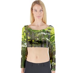 Bitter Melon Long Sleeve Crop Top by artworkshop