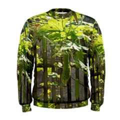 Bitter Melon Men s Sweatshirt by artworkshop