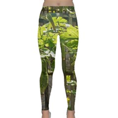 Bitter Melon Classic Yoga Leggings by artworkshop