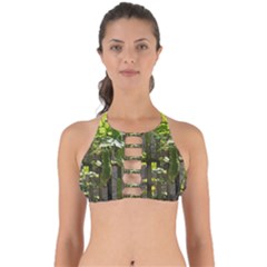 Bitter Melon Perfectly Cut Out Bikini Top by artworkshop